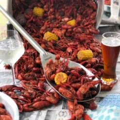 Bayou Classic 14" Single Jet Outdoor Propane Gas Cooker 19 Bayou Classic 14" Single Jet Outdoor Propane Gas Cooker -Grill Collection Bayou Classic 14 Single Jet Outdoor Propane Gas Cooker 10