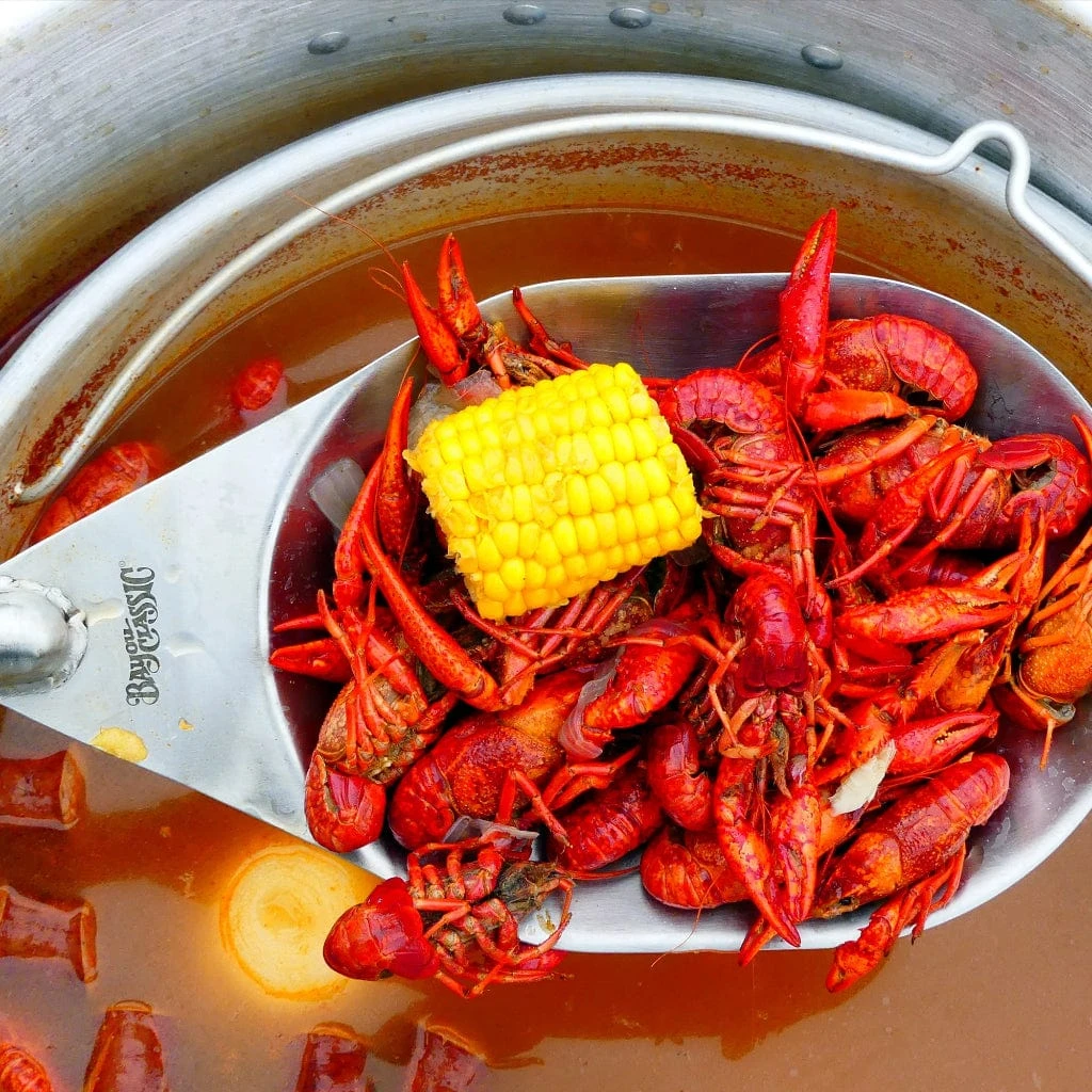 Bayou Classic 14" Single Jet Outdoor Propane Gas Cooker 7 Bayou Classic 14" Single Jet Outdoor Propane Gas Cooker - Image 7