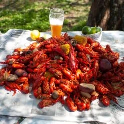 Bayou Classic 22" Bayou Outdoor Propane Gas Banjo Cooker -Grill Collection Bayou Classic 22 Bayou Outdoor Propane Gas Banjo Cooker 13