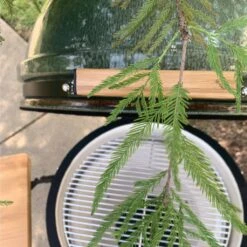 Bayou Classic 22" Cypress Ceramic Kamado Charcoal Grill 7 Bayou Classic 22" Cypress Ceramic Kamado Charcoal Grill -Grill Collection Bayou Classic 22 Cypress Ceramic Kamado Charcoal Grill 3