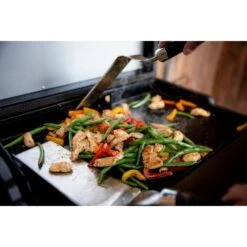 Halo Elite 1B HZ-1007 Dual Zone Single Burner Outdoor Countertop Gas Griddle -Grill Collection Halo Elite 1B HZ 1007 Dual Zone Single Burner Outdoor Countertop Gas Griddle 4