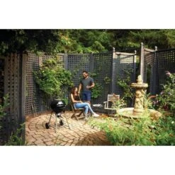 Napoleon 18" Black Charcoal Kettle Grill -Grill Collection Napoleon 18 Black Charcoal Kettle Grill 5