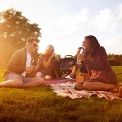 Napoleon 24" TravelQ 285 Portable Propane Gas Grill With Griddle - Red -Grill Collection Napoleon 24 TravelQ 285 Portable Propane Gas Grill with Griddle Red 8