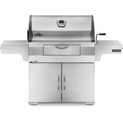 Napoleon 68" Professional 605 Freestanding Charcoal Grill