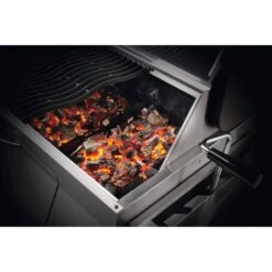 Napoleon 68" Professional 605 Freestanding Charcoal Grill 18 Napoleon 68" Professional 605 Freestanding Charcoal Grill -Grill Collection Napoleon 68 Professional 605 Freestanding Charcoal Grill 8