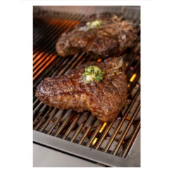 PGS BIG SUR 51” Liquid Propane Grill Head With Built In One Hour Gas Timer -Grill Collection PGS BIG SUR 51 Liquid Propane Grill Head With Built in One Hour Gas Timer 7