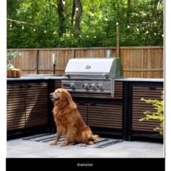 Renaissance Cutlass Pro Series 30" 4-Burner Drop-in Natural Gas Grill 27 Renaissance Cutlass Pro Series 30" 4-Burner Drop-in Natural Gas Grill -Grill Collection Renaissance Cutlass Pro Series 30 4 Burner Drop in Natural Gas Grill 14