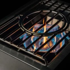 TrueFlame Stainless Steel Natural Gas Power Burner -Grill Collection TrueFlame Stainless Steel Natural Gas Power Burner 9